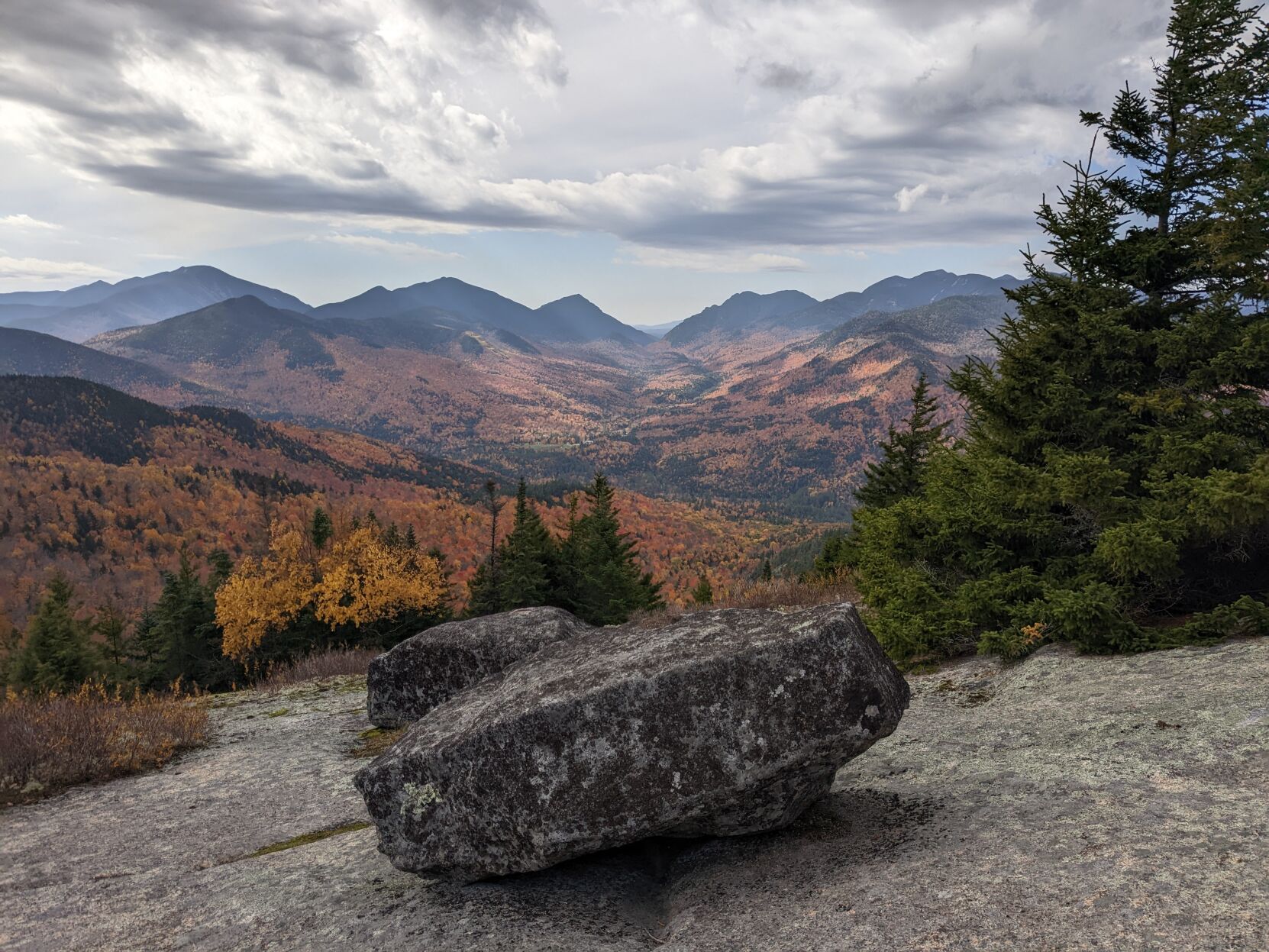 hopkins view.jpg